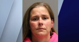 Chicago school security guard accused of criminal sexual abuse of minors