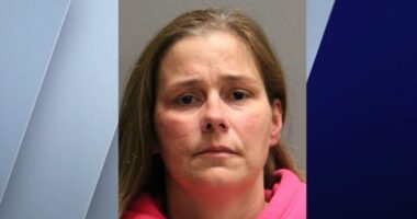 Chicago school security guard accused of criminal sexual abuse of minors