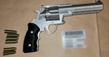 Chilling warning over 3D-printed guns flooding Australia amid crackdown
