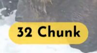 Chunk named top "Fat Bear" of 2025