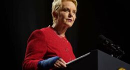 Cindy McCain suffers a mild stroke and will take leave from World Food Program while recovering