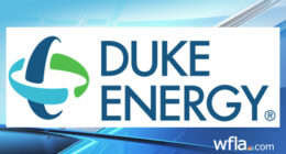 City of Clearwater approves extra $100k for appraisal study of creating new power company