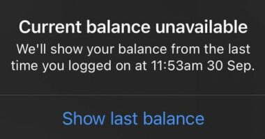 Commonwealth Bank customers have been left unable to check their balancesï»¿.