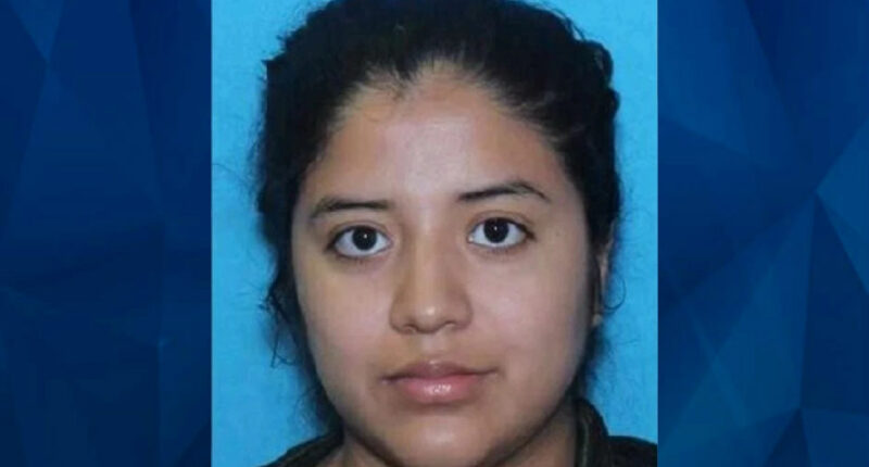 Concern Grows for Missing Texas Woman With Medical Condition