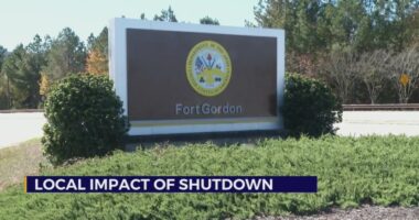 Congressman Joe Wilson, Local Union Leader React to Government Shutdown 