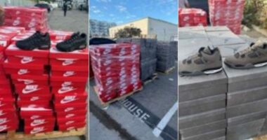 CoolKicks founder arrested after $500K worth of stolen Nike merchandise found at warehouse: police