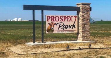 Coroner identifies cause of death for 6 who collapsed at Colorado dairy farm