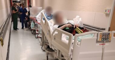 Corridor care crisis as traumatised patients witness deaths and liken NHS hospitals to a war zone