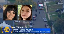 'Coward' teen allegedly kills girl he's been stalking, pal