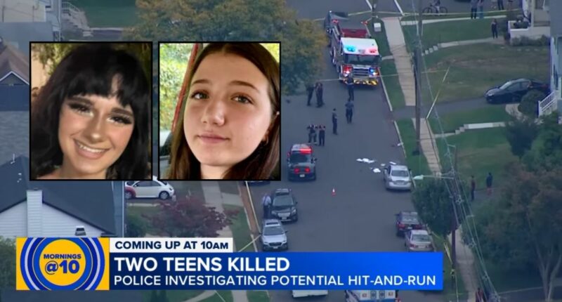 'Coward' teen allegedly kills girl he's been stalking, pal