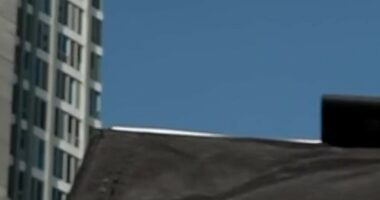 Crowds cheer for helicopters carrying freed hostages