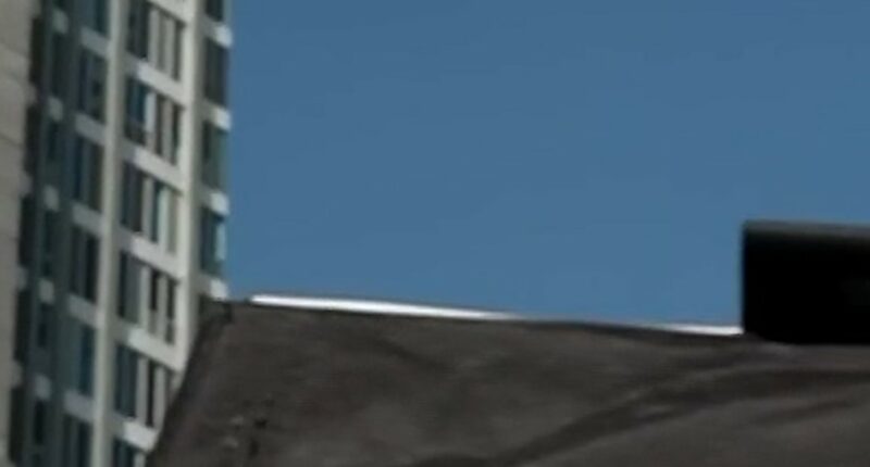 Crowds cheer for helicopters carrying freed hostages
