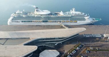 Cruise becomes nightmare after more than 70 passengers get norovirus