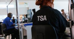 DHS blames Democrats for shutdown in video to be shown at TSA checkpoints