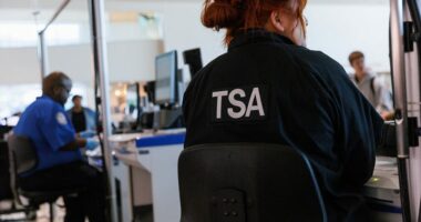 DHS blames Democrats for shutdown in video to be shown at TSA checkpoints
