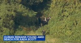 DNA testing shows police found remains connected to Kada Scott: Sources