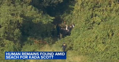 DNA testing shows police found remains connected to Kada Scott: Sources