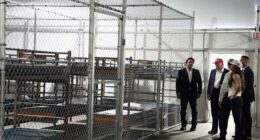 DOJ contradicts DeSantis: Some detainees at 'Alligator Alcatraz' likely never in removal proceedings