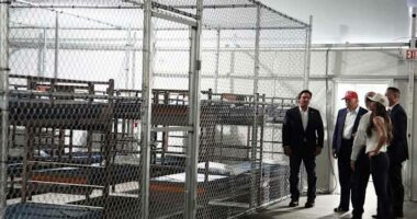 DOJ contradicts DeSantis: Some detainees at 'Alligator Alcatraz' likely never in removal proceedings