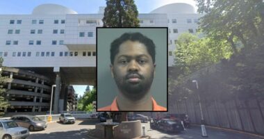 Dad beat toddler to death after 'bad news' about business