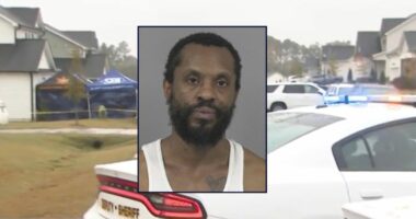 Dad killed 4 kids, put bodies in trunk, left 1 alive: Cops