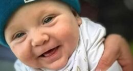 Dad pleads guilty after his baby is mauled to death by family dog