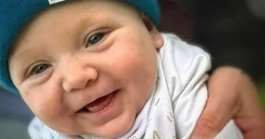 Dad pleads guilty after his baby is mauled to death by family dog