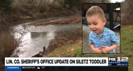 Dad was not watching 2-year-old before he went missing: DA
