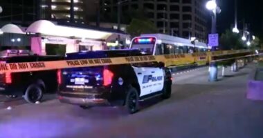 Dallas train shooting leaves 1 dead, second homicide on DART transit system in a week