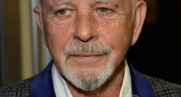David Essex Net Worth