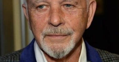 David Essex Net Worth