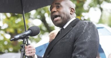 David Lammy booed at vigil for Manchester terror attack victims