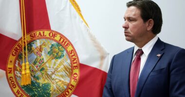 DeSantis says he won’t tolerate H-1B visa ‘abuse' in Florida universities