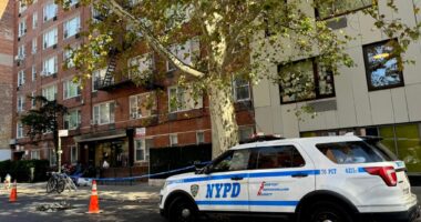 Dead man found dismembered outside Brooklyn apartment building was ‘not violent’: family