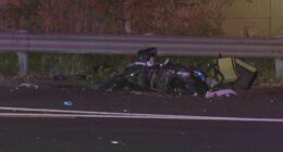Delivery rider porsche crash Bangor Bypass Sydney