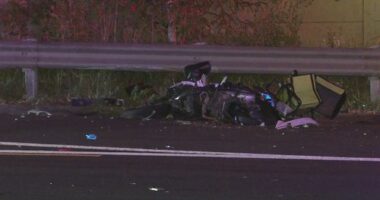 Delivery rider porsche crash Bangor Bypass Sydney