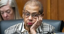 Dem congresswoman, 88, robbed at home by fake cleaning crew