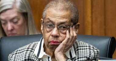 Dem congresswoman, 88, robbed at home by fake cleaning crew