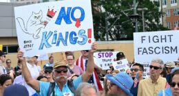 Democrats flood streets for anti-Trump 'No Kings' protests