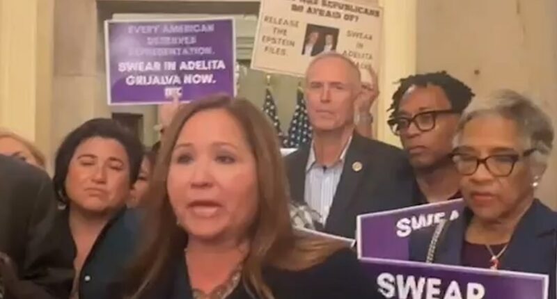 Democrats protest Rep-elect Grijalva swearing-in delay