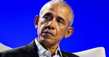 Dems spiral in Virginia as Obama campaigns against 'black woman'