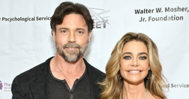 Denise Richards' ex Aaron Phypers charges revealed