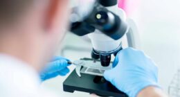 Department of Health and Social Care addresses brain cancer treatment concerns in update