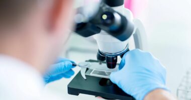 Department of Health and Social Care addresses brain cancer treatment concerns in update