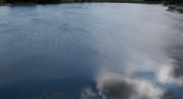Deputies, FWC investigating ‘watercraft accident’ with injuries in Brevard County