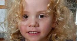 Despicable conspiracy theory about Gus, 4, is slammed