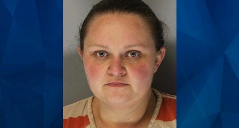 Developing: Remains of 4-Year-Old Child Found in Georgia Woman’s Car