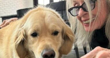 Diane Keaton cuddles up to her dog in last photo before her death