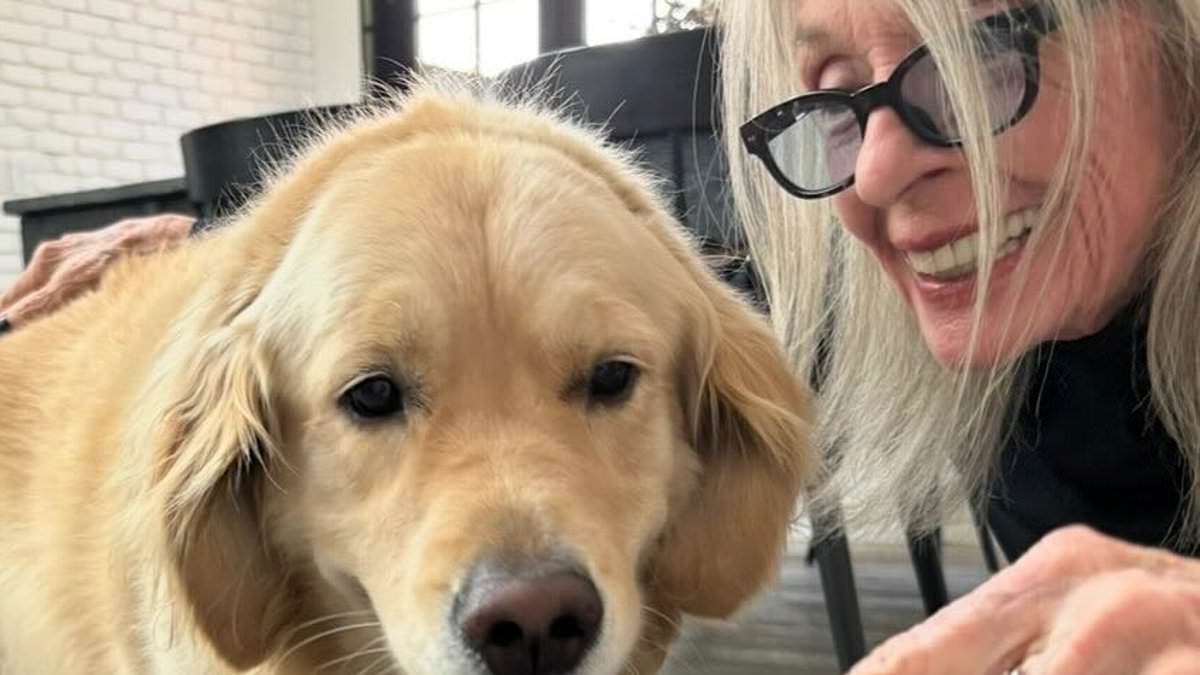 Diane Keaton: A Última Foto com Seu Cachorro Parte o Coração dos Fãs e Revela um Lado Inesperado!