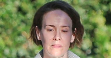 Diane Keaton's friend Sarah Paulson looks somber after star's death